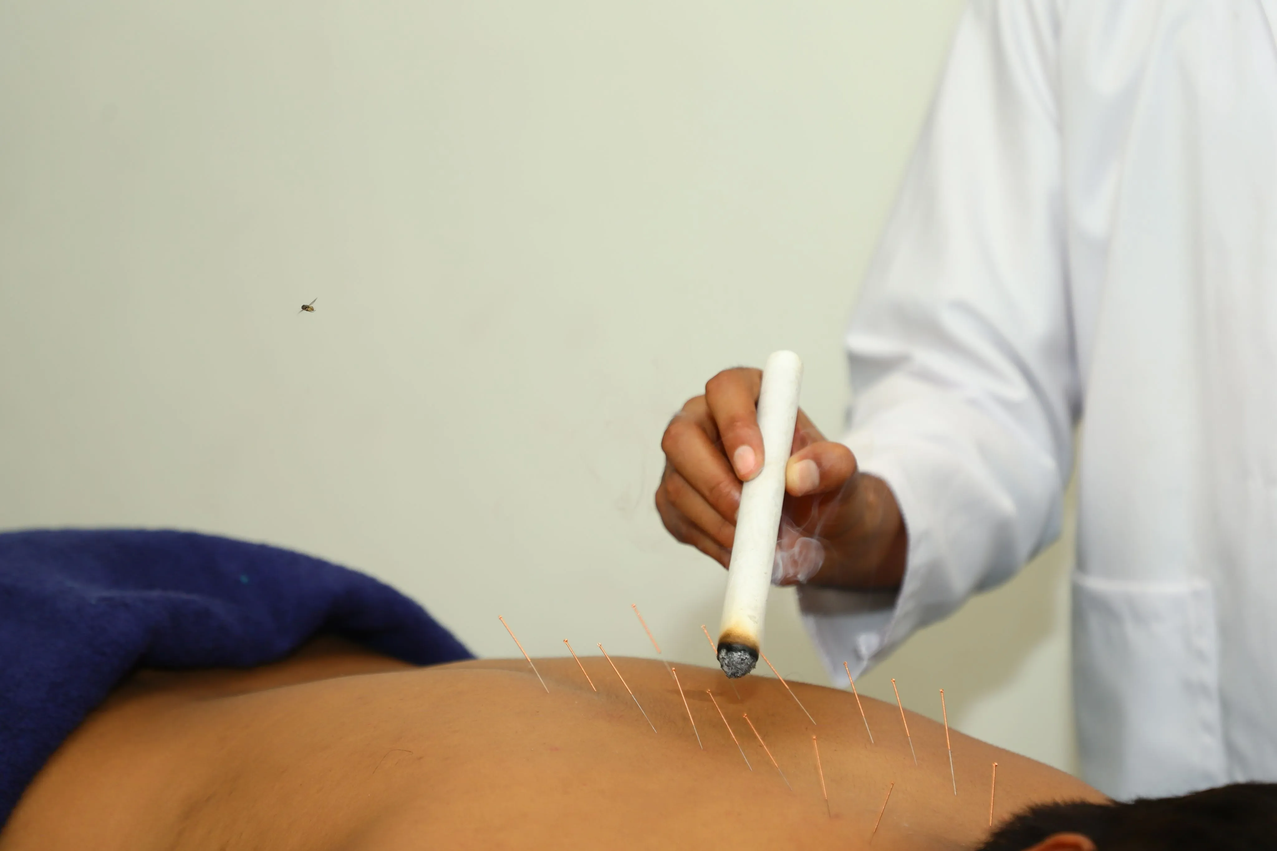 Treatment Gallery at Rejua